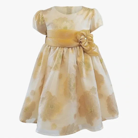 green emerald velvet dress Helena Gold Dress 10 Years main image 1